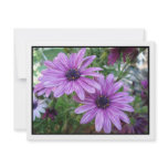 Purple Flowers Picture! invitations