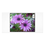 Purple Flowers Picture! photo cards