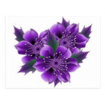 purple flowers post cards