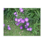 Purple Flowers Postcard