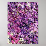 Purple Flowers Posters and Prints