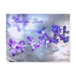 Purple Flowers Save the Date postcards