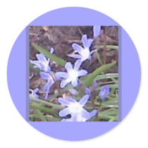 Purple flowers welcome Spring stickers