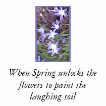 Purple flowers welcome Spring t-shirts