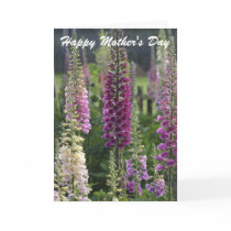 Purple foxgloves ...  card