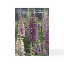 Purple foxgloves ...  card