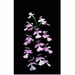 Purple fringeless orchid photo sculptures