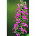 Purple fringeless orchid cut outs