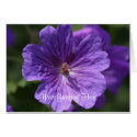 Purple Geranium Card