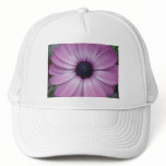 Purple Gerbera Daisy Flower hat