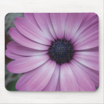 Purple Gerbera Daisy Flower mouse pad