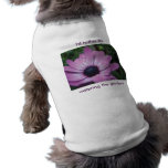 Purple Gerbera Daisy Flower Waterdrops Pet T-shirt pet clothing
