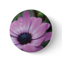 Purple Gerbera Daisy Flower Waterdrops Pin