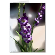purple gladiola_smug stick card