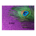 Purple Glittery Peacock Feather Still Life Postcards