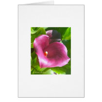Purple Heart Flower cards
