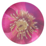 Purple Hellebore Blossom Party Plates