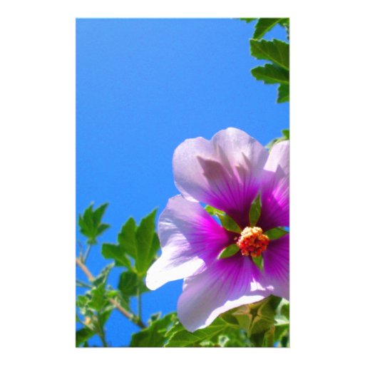 Purple Watercolor Hibiscus