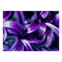 Purple Hyacinth Flower Greeting Card