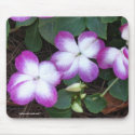 Purple Impatiens Mousepad
