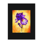 Purple Iris ACEO Art Trading Card postcards
