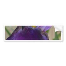 Purple Iris Bumper Sticker