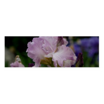 Purple Iris Business Cards