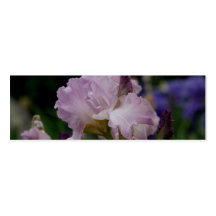 Purple Iris Business Cards