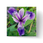 Purple Iris Button