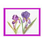 Purple Iris by EelKat postcards