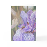 Purple Iris Greeting Card