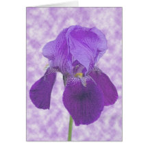 Purple Iris Card