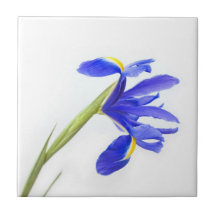 Purple Iris Flower Ceramic Tile