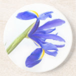 Purple Iris Flower Coasters