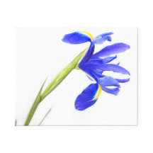 Purple Iris Flower Gallery Wrap Canvas