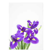 purple iris flower invitation
