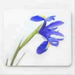 Purple Iris Flower Mousepads
