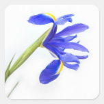 Purple Iris Flower Sticker