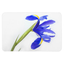 Purple Iris Flower Vinyl Magnet