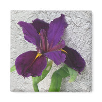 Purple Iris Refrigerator Magnets