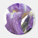 Purple Iris Photograph Magnet