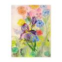 'Purple Iris' Postcard