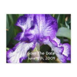 Purple Iris Save The Date Postcard