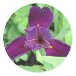Purple Iris stickers