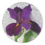 Purple Iris stickers