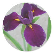 Purple Iris Round Stickers