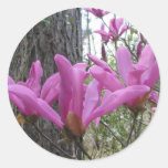 Purple Japanese Magnolia Round Sticker