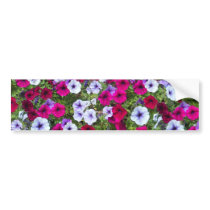 Purple & Lavender Flowers: Bumper Stickers
