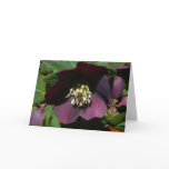 Purple Lenten Rose Card