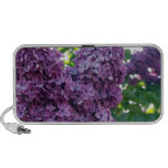 Purple Lilac Speakers